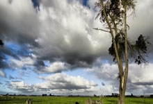 极速体育：[澳网]孙鹏耀：澳网正赛今日打响 郑钦文出战.