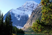 巴西队美加墨周期纪实：世预赛主场-绝杀哥伦比亚.