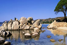 极速体育：[图]欧冠-多特1-2博洛尼亚 2分钟2球逆转取欧冠首胜.